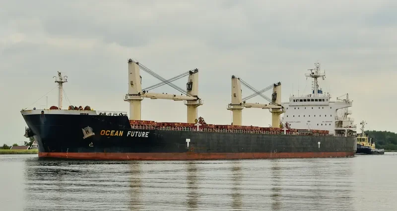 OCEAN FUTURE Bulk Carrier IMO 9418779 photo 6