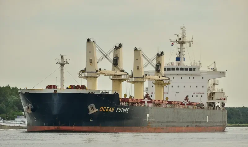 OCEAN FUTURE Bulk Carrier IMO 9418779 photo 7
