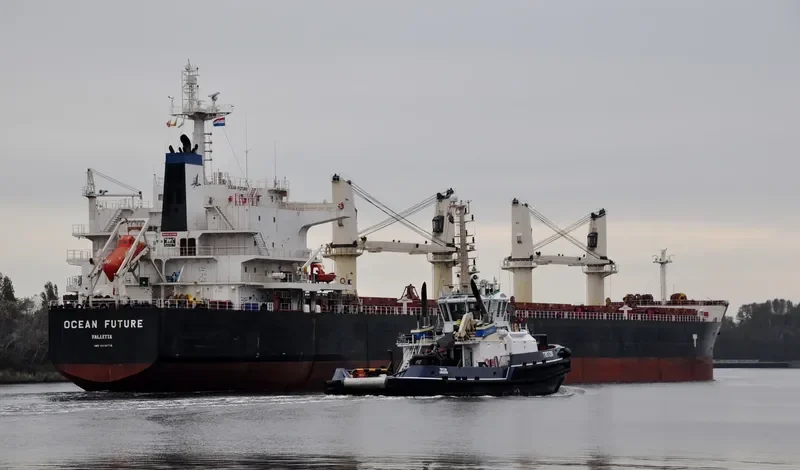 OCEAN FUTURE Bulk Carrier IMO 9418779 photo 8
