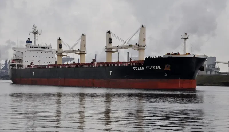 OCEAN FUTURE Bulk Carrier IMO 9418779 photo 9