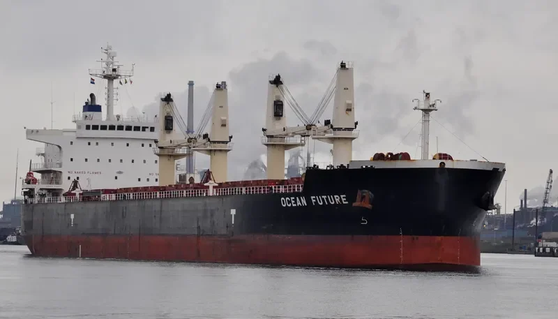 OCEAN FUTURE Bulk Carrier IMO 9418779 photo 10