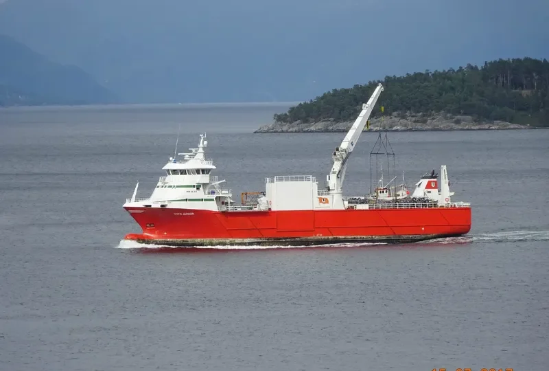 WITH JUNIOR Container Ship IMO 9418781