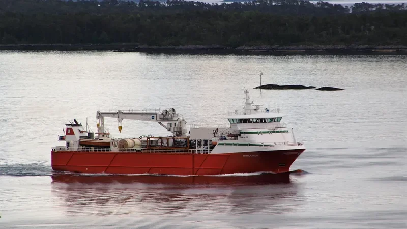 WITH JUNIOR Container Ship IMO 9418781 photo 4