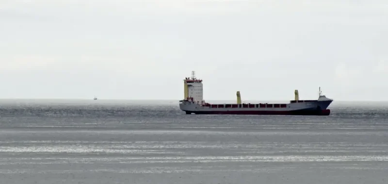 OYSTER Container Ship IMO 9418884 photo 3