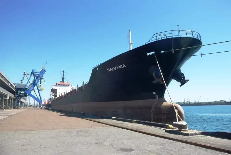 SALVINIA General Cargo IMO 9419084