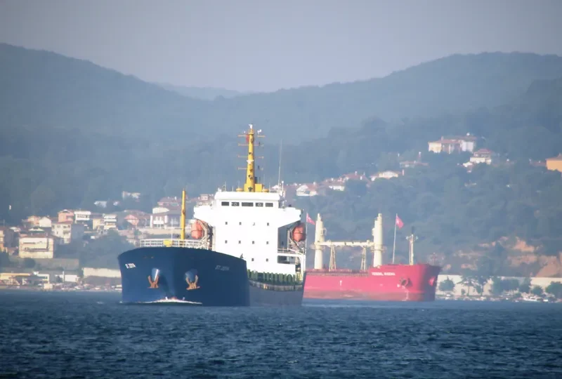 SALVINIA General Cargo IMO 9419084 photo 8