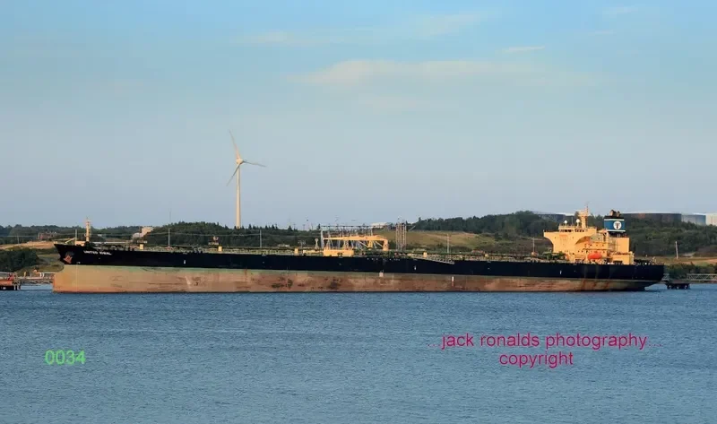 DELTA ATLANTICA Tanker IMO 9419101 photo 9