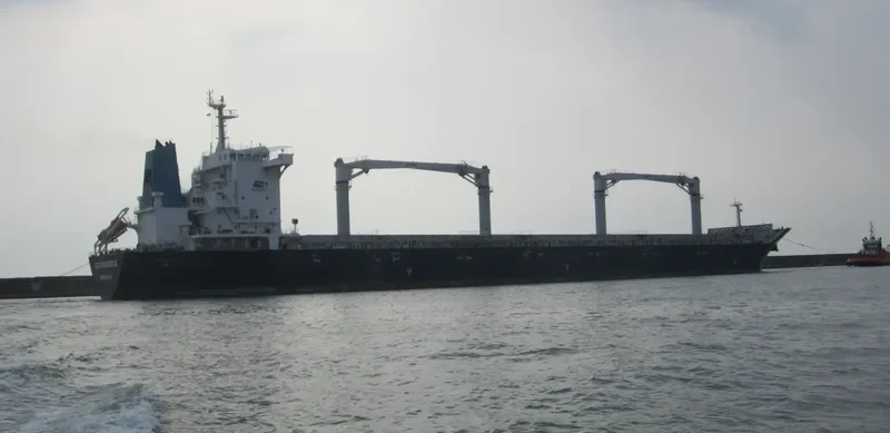 GREAT WOODS General Cargo IMO 9419230