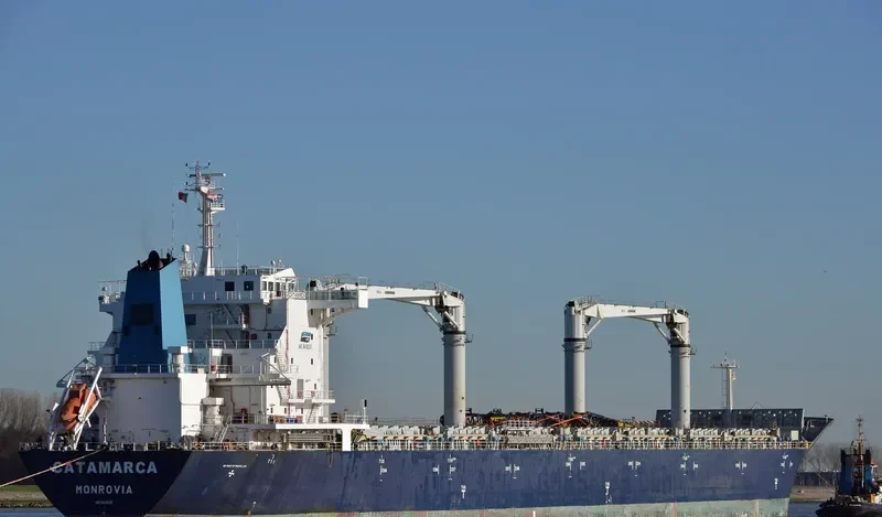 GREAT WOODS General Cargo IMO 9419230 photo 7