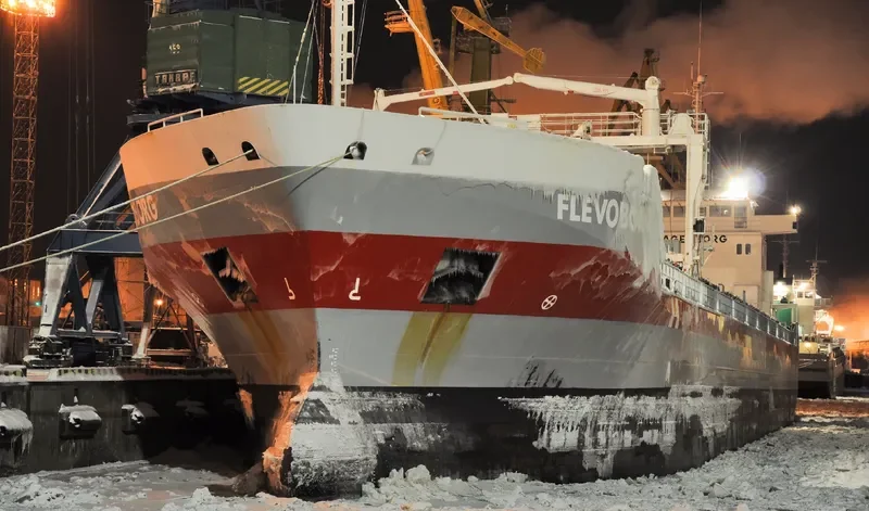 FLEVOBORG Container Ship IMO 9419292 photo 8