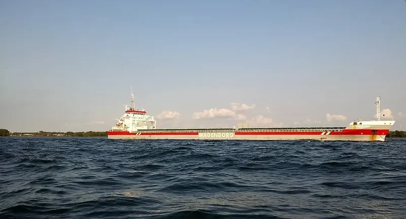 FIVELBORG Container Ship IMO 9419307 photo 3