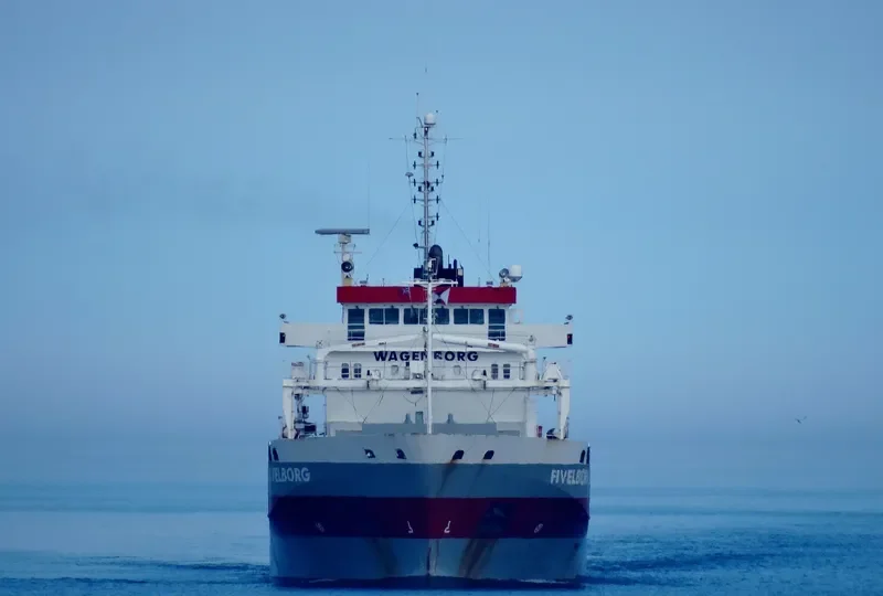 FIVELBORG Container Ship IMO 9419307 photo 5