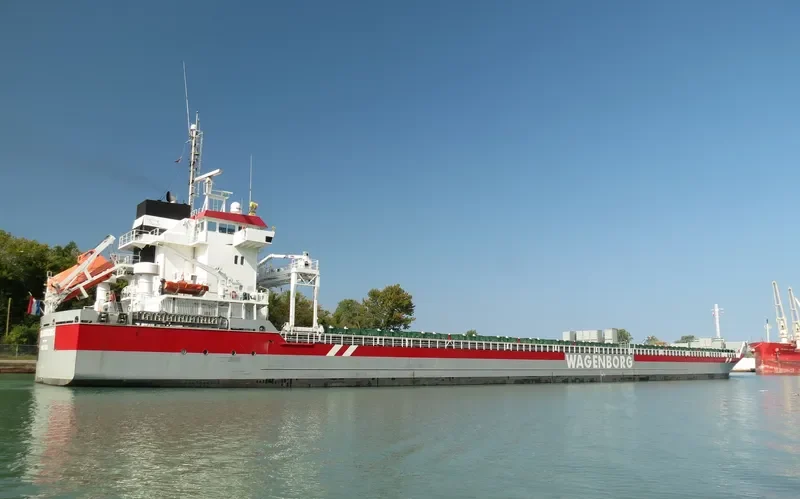 FRASERBORG Container Ship IMO 9419319