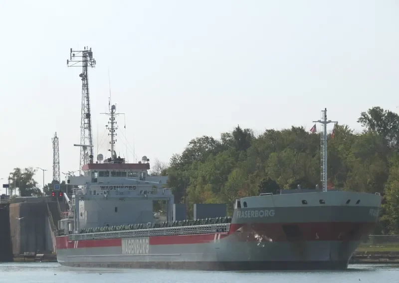 FRASERBORG Container Ship IMO 9419319 photo 3