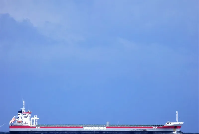 FINNBORG Container Ship IMO 9419321 photo 3