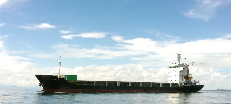 PAHALA General Cargo IMO 9419589 photo 2