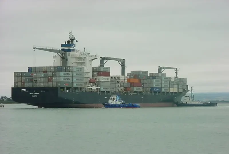 MSC RINI III Container Ship IMO 9419644 photo 3