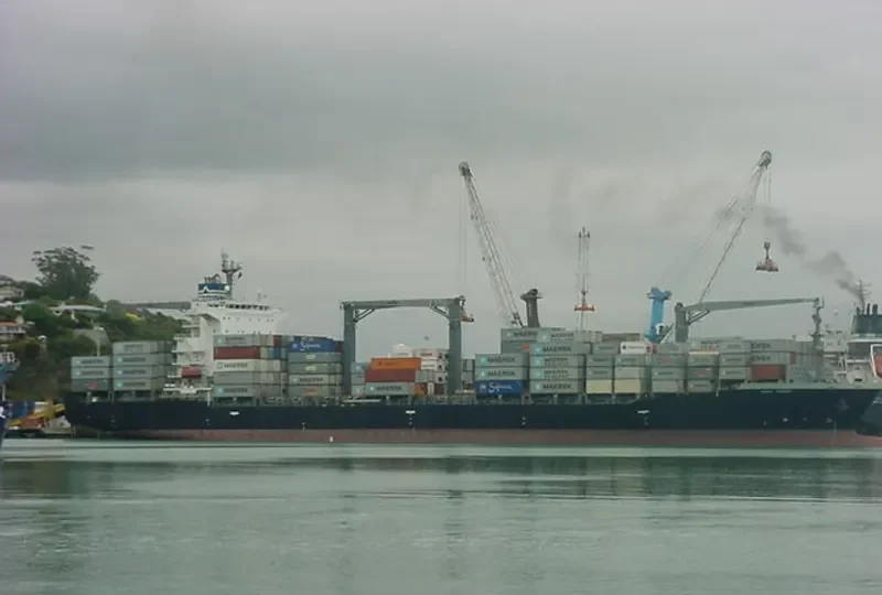 MSC RINI III Container Ship IMO 9419644 photo 4