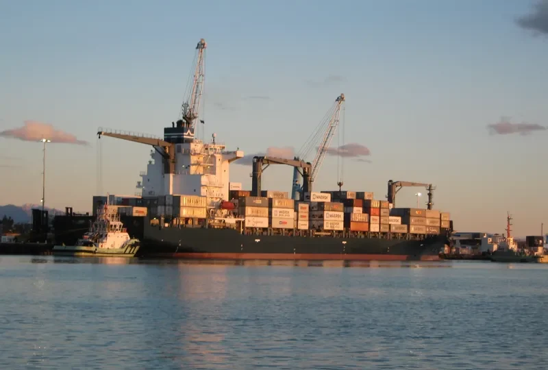 MSC RINI III Container Ship IMO 9419644 photo 5