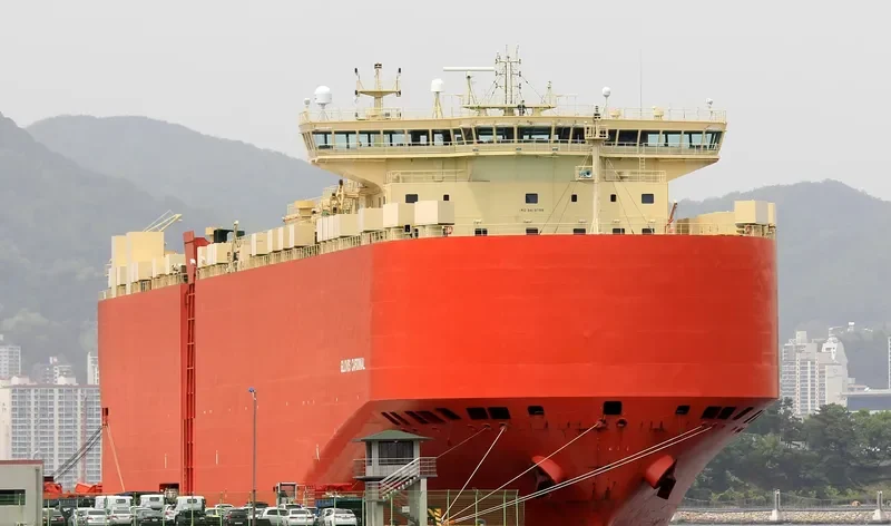 GLOVIS CARDINAL General Cargo IMO 9419759