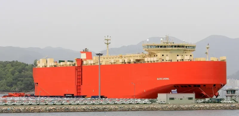GLOVIS CARDINAL General Cargo IMO 9419759 photo 2