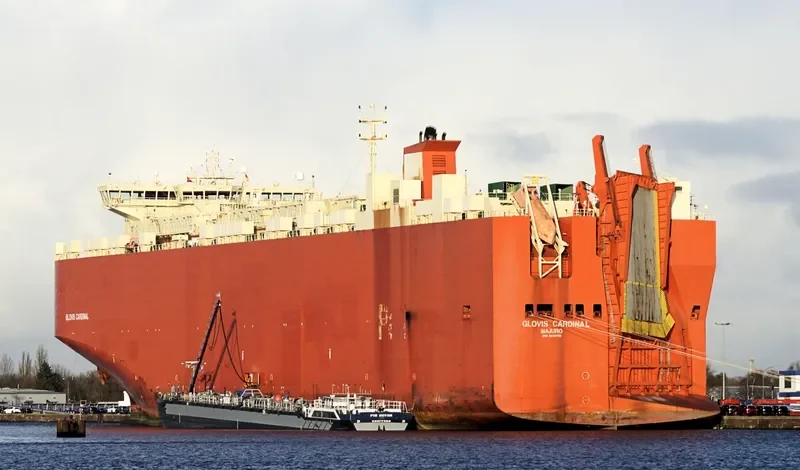 GLOVIS CARDINAL General Cargo IMO 9419759 photo 7