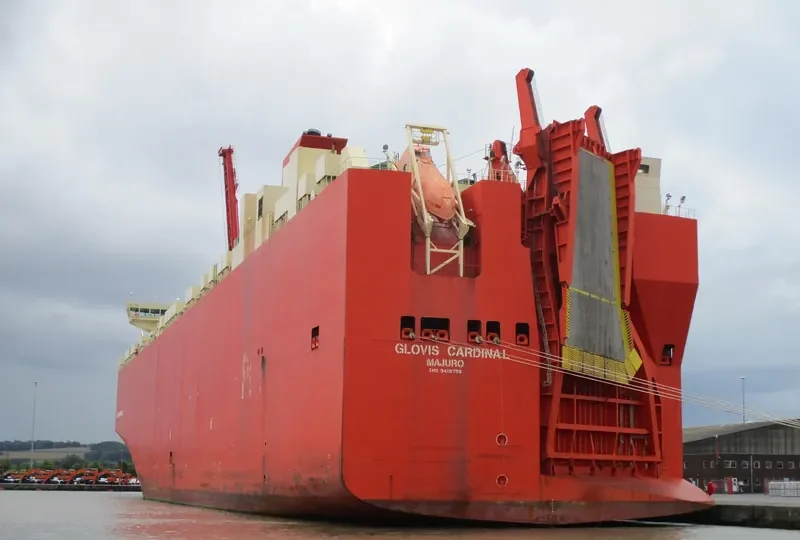 GLOVIS CARDINAL General Cargo IMO 9419759 photo 9