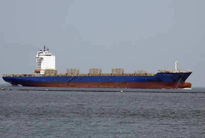 TRF PARTICI Container Ship IMO 9419785 photo 9
