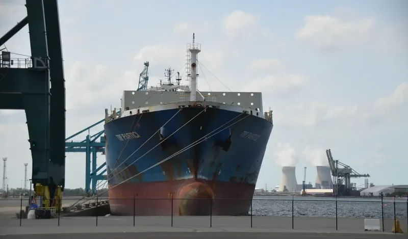 TRF PARTICI Container Ship IMO 9419785 photo 10