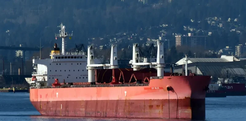 IVY BLUE Bulk Carrier IMO 9419943 photo 2
