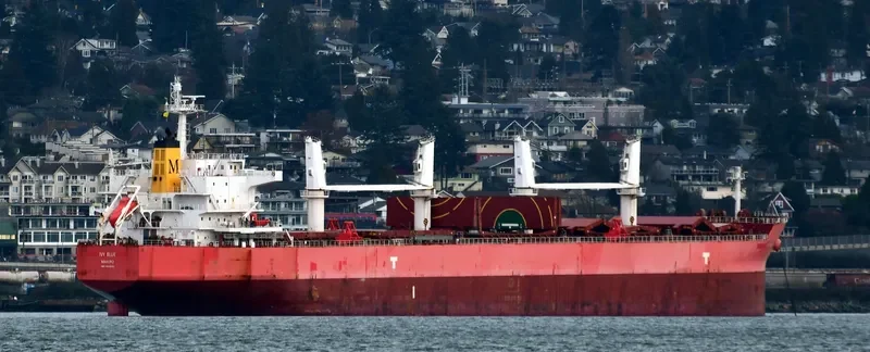 IVY BLUE Bulk Carrier IMO 9419943 photo 3