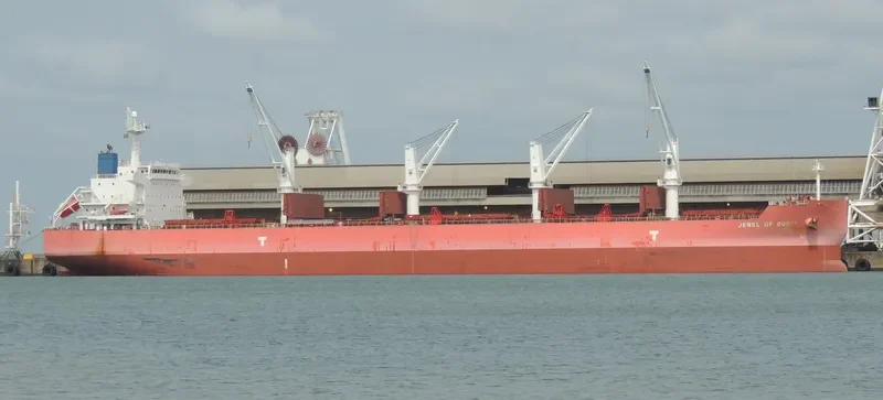IVY BLUE Bulk Carrier IMO 9419943 photo 6