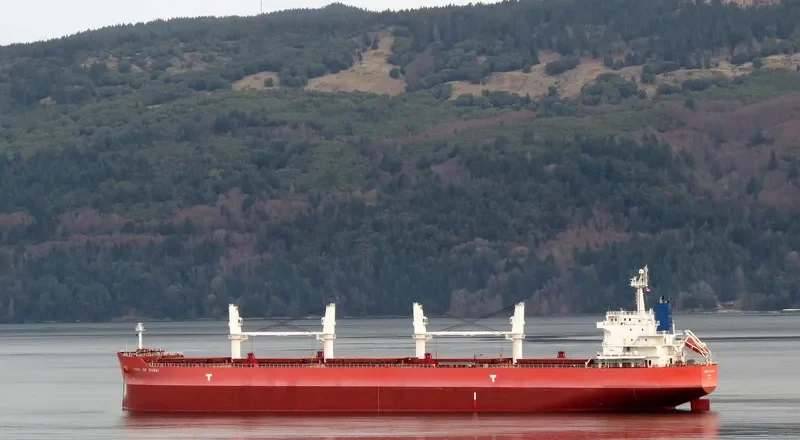 IVY BLUE Bulk Carrier IMO 9419943 photo 8