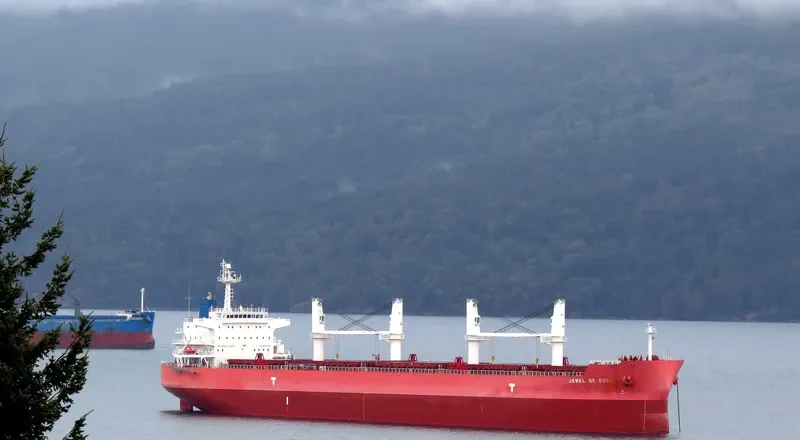 IVY BLUE Bulk Carrier IMO 9419943 photo 9