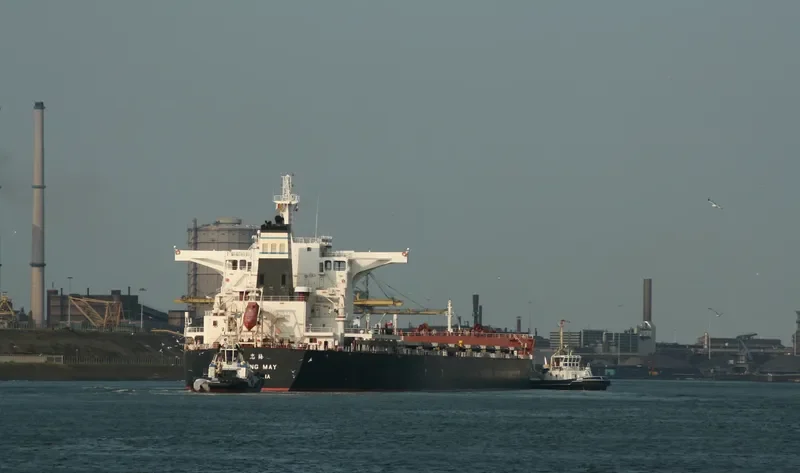ZHONG MAY Bulk Carrier IMO 9420124 photo 3