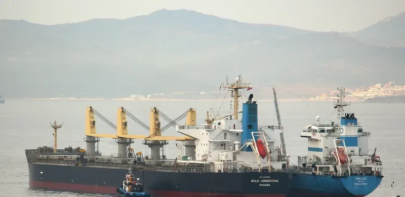 AROSA Bulk Carrier IMO 9420265 photo 7