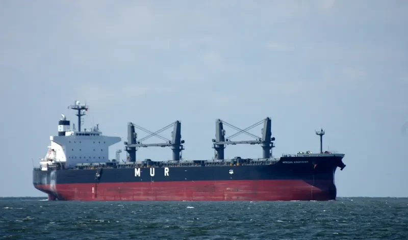 LUMOSO LANCAR Bulk Carrier IMO 9420289 photo 7