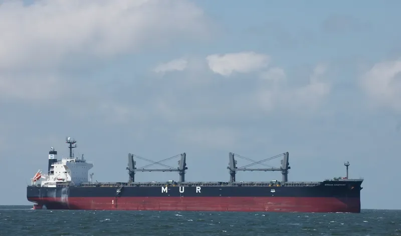 LUMOSO LANCAR Bulk Carrier IMO 9420289 photo 8