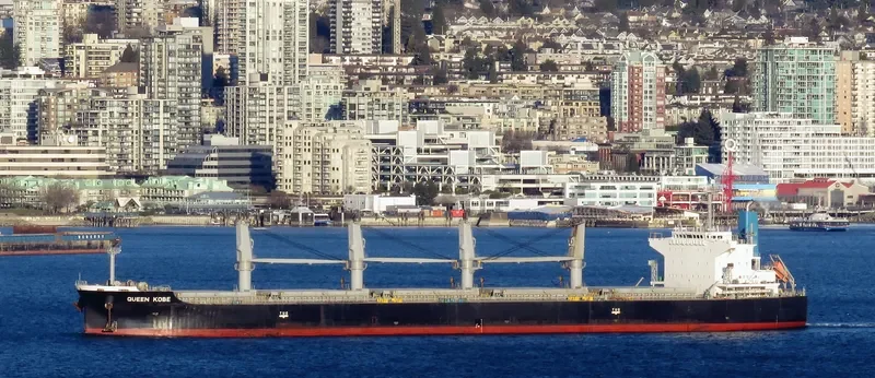 QUEEN KOBE Bulk Carrier IMO 9420291 photo 3
