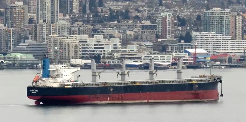 QUEEN KOBE Bulk Carrier IMO 9420291 photo 7
