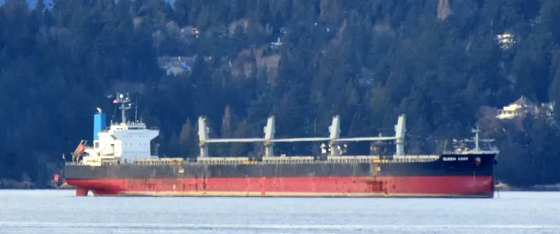QUEEN KOBE Bulk Carrier IMO 9420291 photo 8