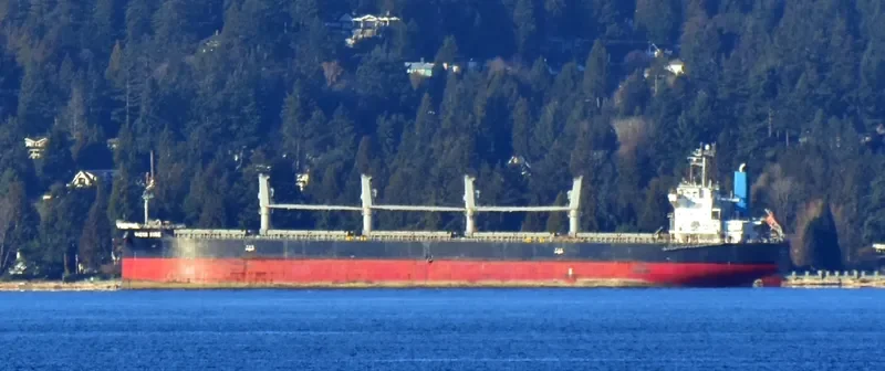 QUEEN KOBE Bulk Carrier IMO 9420291 photo 9