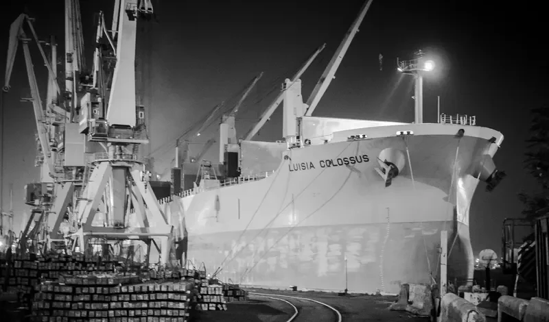 NEW HORIZON Bulk Carrier IMO 9420318