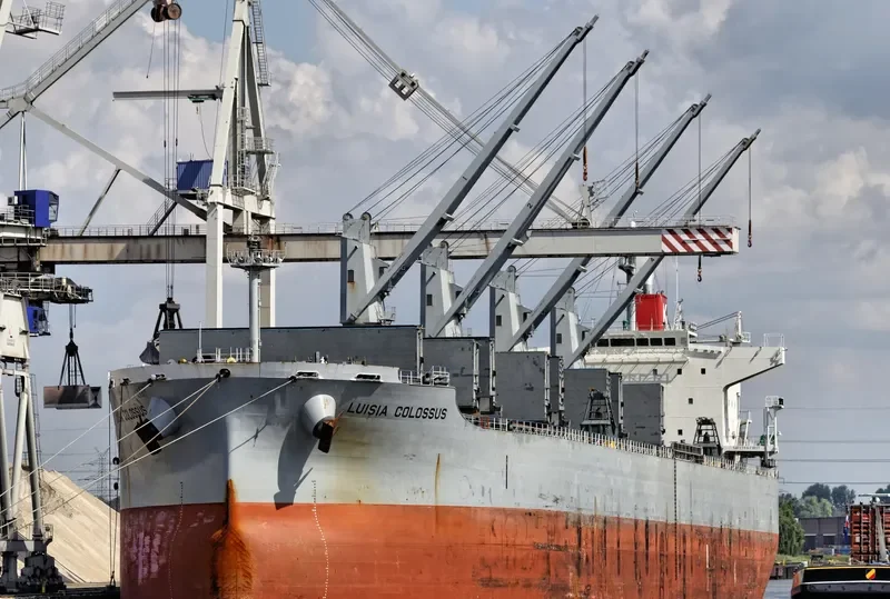 NEW HORIZON Bulk Carrier IMO 9420318 photo 4