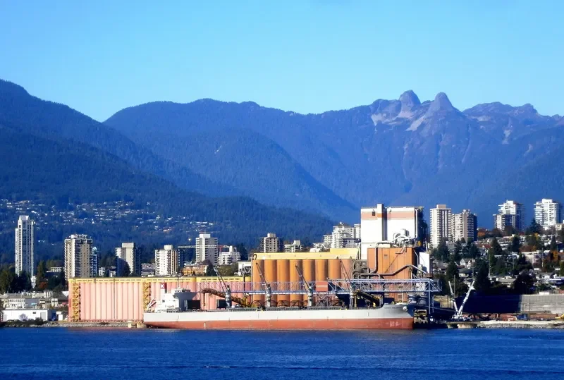 NEW HORIZON Bulk Carrier IMO 9420318 photo 5