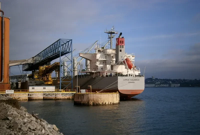 NEW HORIZON Bulk Carrier IMO 9420318 photo 6