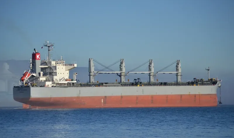 NEW HORIZON Bulk Carrier IMO 9420318 photo 7