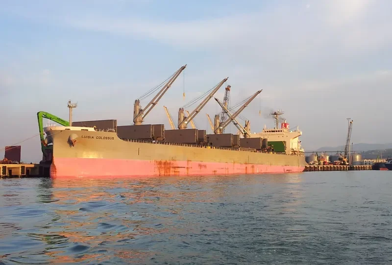 NEW HORIZON Bulk Carrier IMO 9420318 photo 8