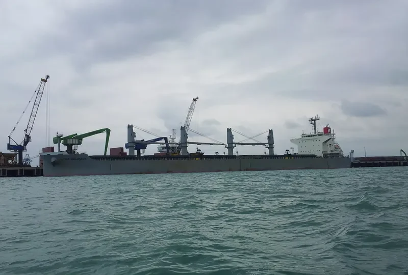 NEW HORIZON Bulk Carrier IMO 9420318 photo 9
