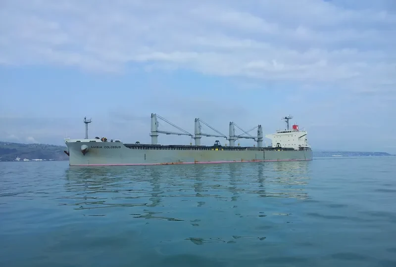 NEW HORIZON Bulk Carrier IMO 9420318 photo 10